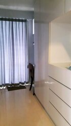 Alexis (D3), Apartment #456296311